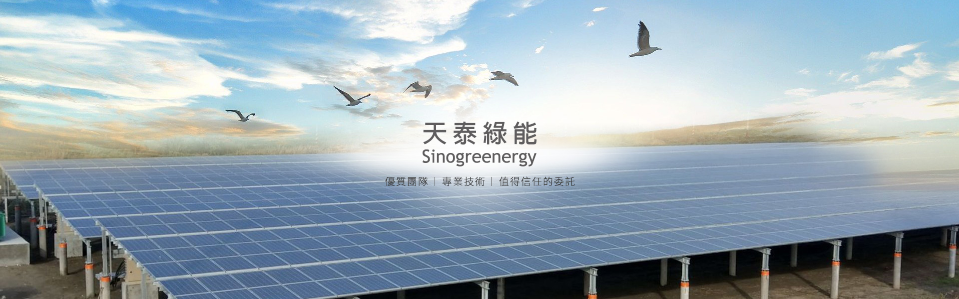 天泰綠能