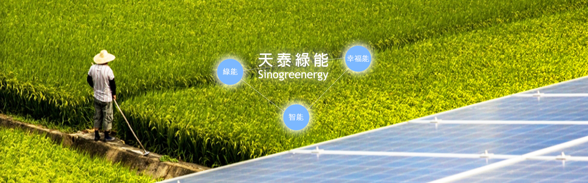 天泰綠能